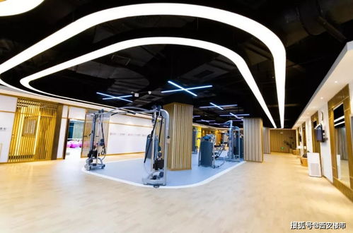 告別價格戰，旅游市場迎來產品力與服務體驗的競爭新階段